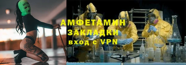 гидра Алексеевка