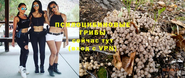 молекула духа Алексин