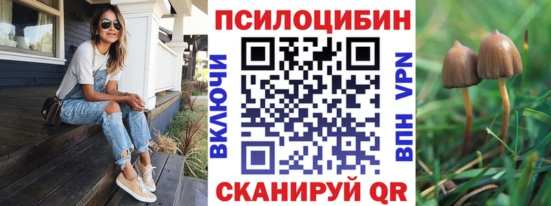 Псилоцибиновые грибы Psilocybe  цена наркотик  Кинель 